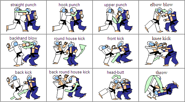 Kudo Sport Association Uttar Pradesh