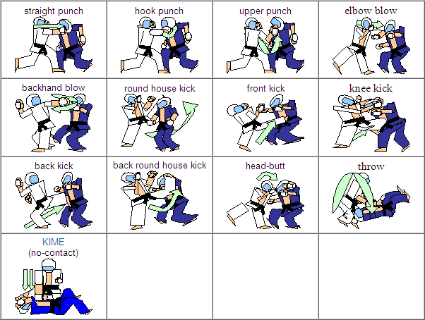 Kudo Sport Association Uttar Pradesh